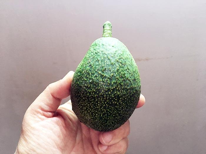 Avocado