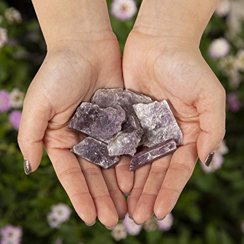 KALIFANO AAA+ Grade Lepidolite Bundle (500+ Carats) with Healing & Calming Effects - High Energy Reiki Crystal Used for Soothing Anxiety and Stability (Information Card Included) KALIFANO AAA+ Grade Lepidolite Bundle (500+ Carats) with Healing & Calming Effects - High Energy Reiki Crystal Used for Soothing Anxiety and Stability (Information Card Included)