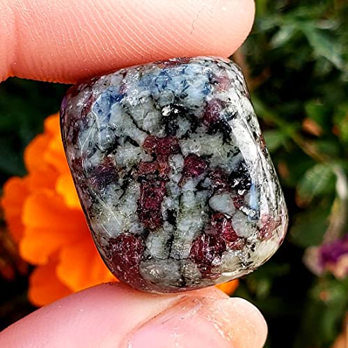 Eudialyte tumbled polished stone Natural Reiki Healing Metaphysical Chakra Crystal Healing Gemstone Specimen 1pc Eudialyte tumbled polished stone Natural Reiki Healing Metaphysical Chakra Crystal Healing Gemstone Specimen 1pc