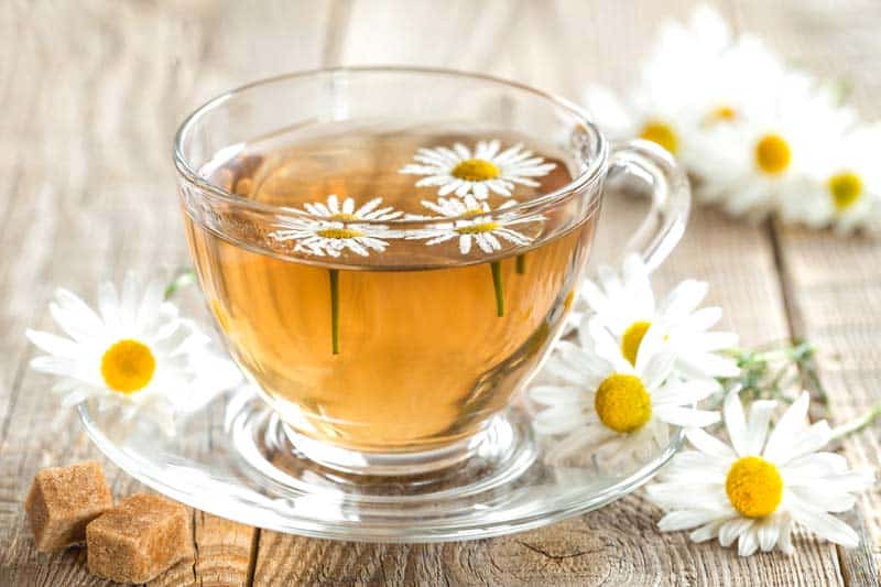 Chamomile herbal tea