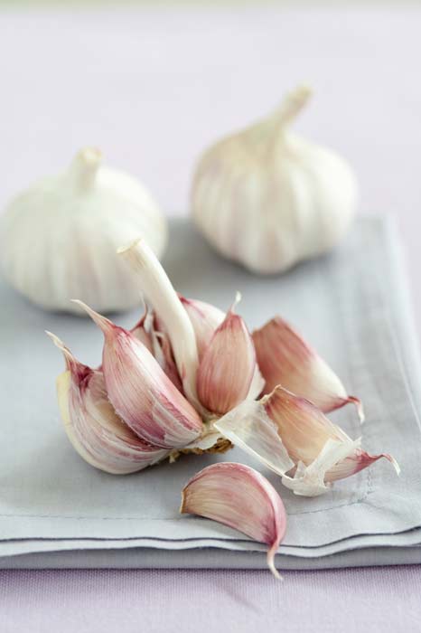 How to Make Garlic Honey for Colds and Flu