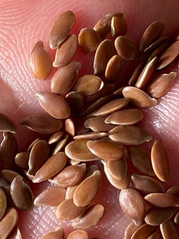 21 Ways to Eat Flax Seed: The Unbelievably Easy Guide to Adding Flaxseed to Your Daily Meals!