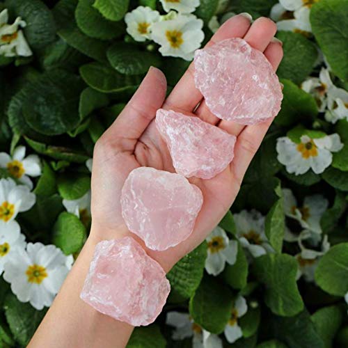 Zenkeeper 1Lb Natural Raw Rose Crystal Large Rose Quartz Stone Rough Gemstones Fountain Bulk Rocks for Tumbling, Cabbing, Polishing, Wire Wrapping, Wicca & Reiki Crystal Healing Zenkeeper 1Lb Natural Raw Rose Crystal Large Rose Quartz Stone Rough Gemstones Fountain Bulk Rocks for Tumbling, Cabbing, Polishing, Wire Wrapping, Wicca & Reiki Crystal Healing