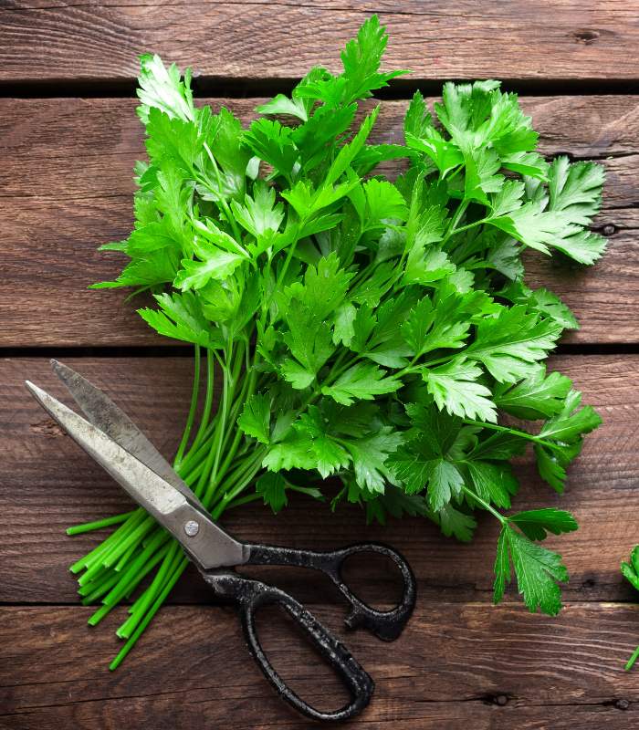 5 healing herbs you need in your kitchen right now!