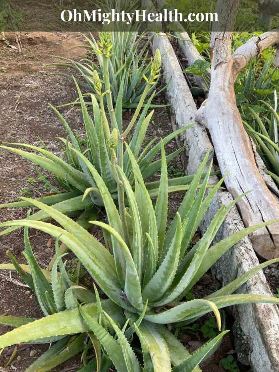 Body skin care routine: your everyday GUIDE to soft, glowing skin