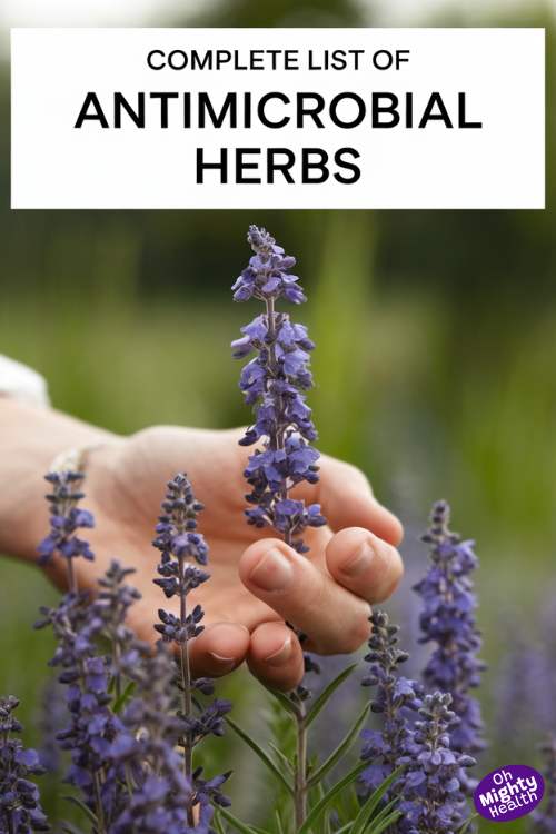 Comprehensive List of Antimicrobial Herbs to Keep at Hand + Recipe for DIY Antimicrobial Vinegar