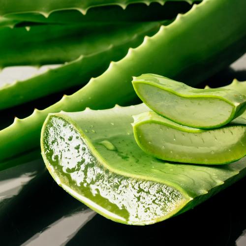 Sephora Skincare Products: Natural DIY Serum Alternatives That Cost A LOT Less