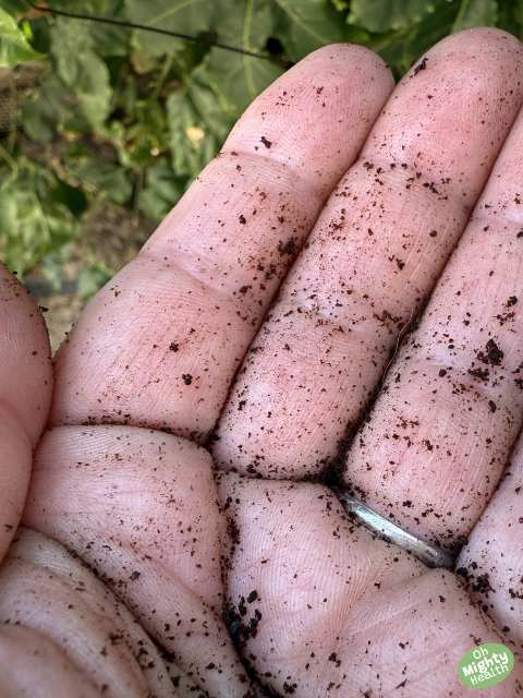 Why Your DIY Coffee Scrub Isn’t Working (And How to Fix It!)